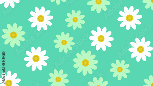 Daisies scattered on a teal background