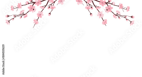 Symmetrical design with two pink cherry blossom branches creating an elegant arch or frame at the top on a white background.