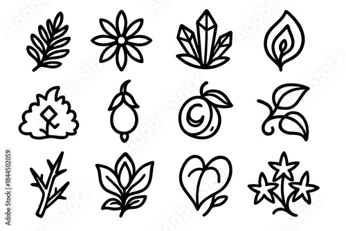 Arcane Plant Icons. Arcane Plant Crafting Elements linear set: spellleaf frond, radiant herb, crystal stem, mistbloom petal, rune moss tuft, duskberry pod, moonroot piece, glowvine