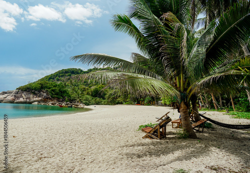 Tropical beach scene with beach loungers and palm trees. Beach with sun loungers casting long shadows on sand. Sun loungers and clear blue sky, perfect for relaxation.