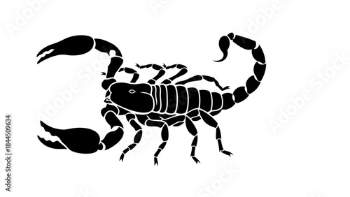 Black Scorpion Illustration on White Background