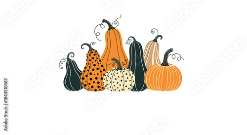 A beautiful arrangement of various decorative pumpkins and gourds in different shapes, sizes, and colors for autumn. This hand-drawn vector illustration is perfect for Thanksgiving or Halloween.