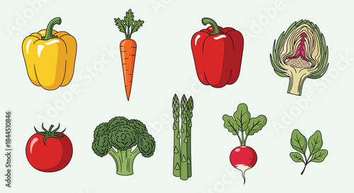 A colorful set of various fresh vegetables with a line art style, including bell peppers, carrots, broccoli, and tomatoes. This healthy food vector collection is perfect for culinary designs.