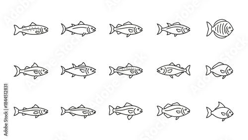 A collection of diverse black and white line art illustrations of various fish species presented