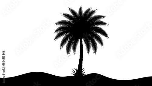 Black Silhouette of a Palm Tree on a White Background with Desert Dunes