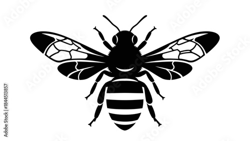 Bold Black and White Silhouette of a Honey Bee with Detailed Wings and Stripes