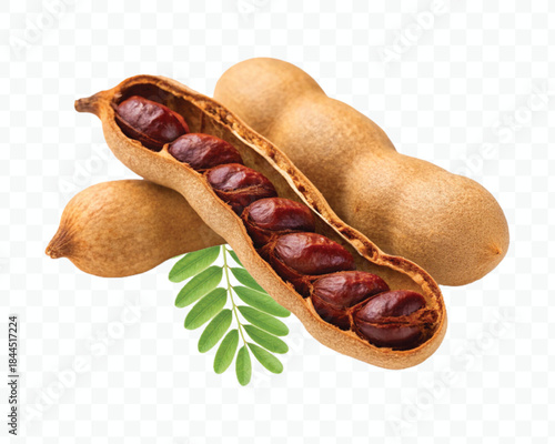 two ripe tamarind pods with one opened revealing seeds and pulp green leaves in different style isolated on transparent background
