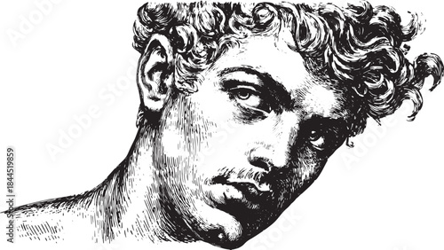 Vintage man head illustration with detailed hair and facial features. This classic black and white vector illustration showcases fine line shading.