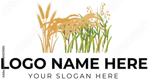 Grain plant logo vector with wheat and rice in earthy tones for agriculture and natural product branding