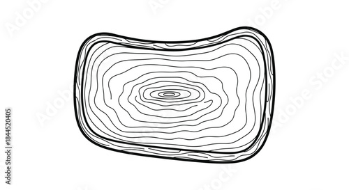 Topographic map illustration with concentric lines