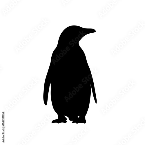 Black silhouette of a standing penguin with a white background, depicting a simple animal icon.