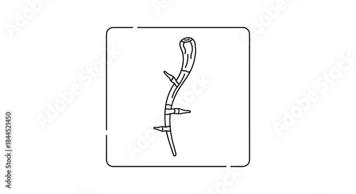 Simple line drawing of a thorn branch