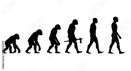 A detailed silhouette illustration depicting the stages of human evolution from ape-like ancestors to modern Homo sapiens, showcasing the progression of bipedalism and development.