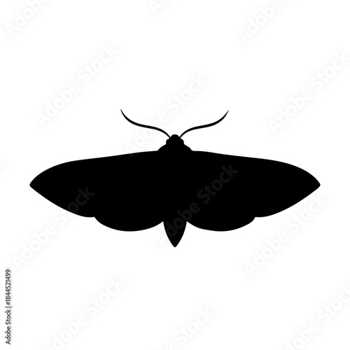 Black silhouette of a moth with outstretched wings, viewed from above, on a white background, representing nocturnal insect life.