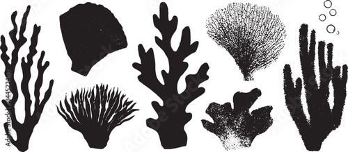 Illustration of various coral and seaweed shapes in black silhouette style. This set of marine plants is created as a vector graphic.