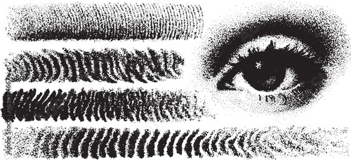 Eye illustration with black lines and abstract patterns. Simple vector design showcasing texture and unique shapes in a monochrome style.