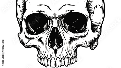 Human Skull Close Up Illustration.