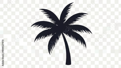 Black silhouette of a palm tree.
