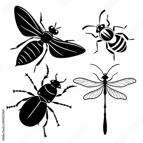 Black silhouette insects collection wasp beetle dragonfly ant