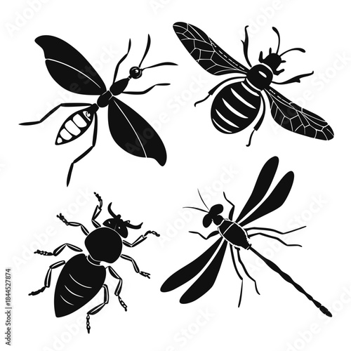 Black silhouette insects ant bee dragonfly beetle vector