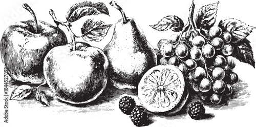 Vintage illustration featuring apples, pears, grapes, lemon, and blackberry in a detailed vector food set.