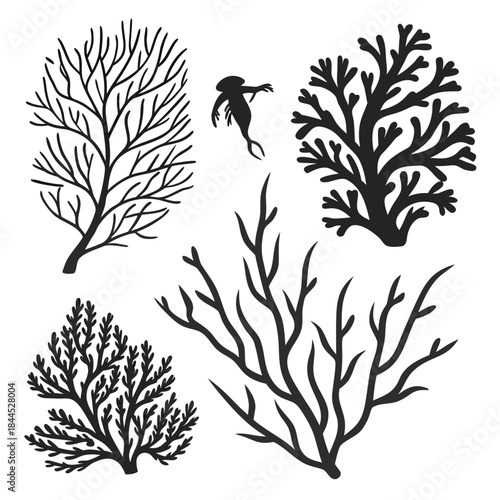 Black silhouette coral reef and underwater plant shapes