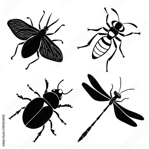 Black silhouette collection of four insects on white background