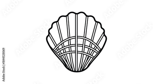 Simple line drawing of a scallop shell