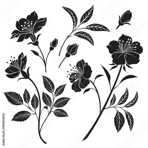 Black floral silhouettes with leaves and buds white