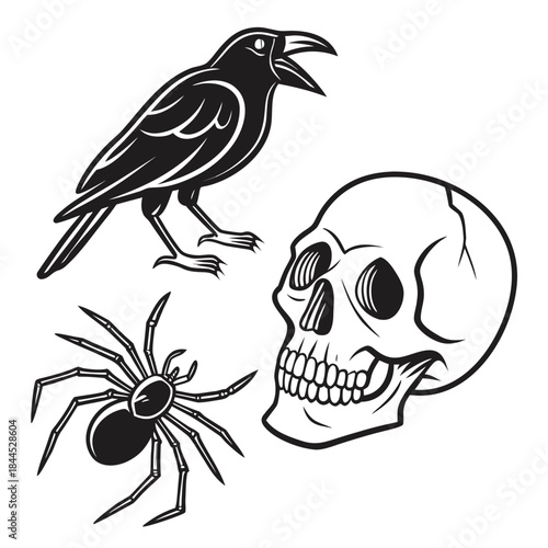 Black crow spider and skull graphic elements raven