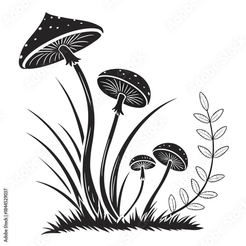 Black and white illustration of forest mushrooms and grass