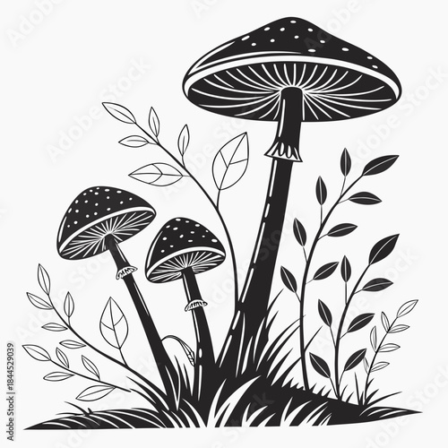 Black and white illustration of forest mushrooms and foliage