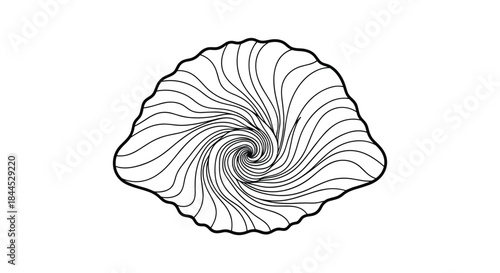 Black and white spiral shell illustration