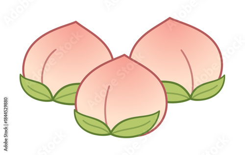 Shoutao, Longevity Peach Buns drawing. Traditional Chinese steamed baozi.  Vector illustration.