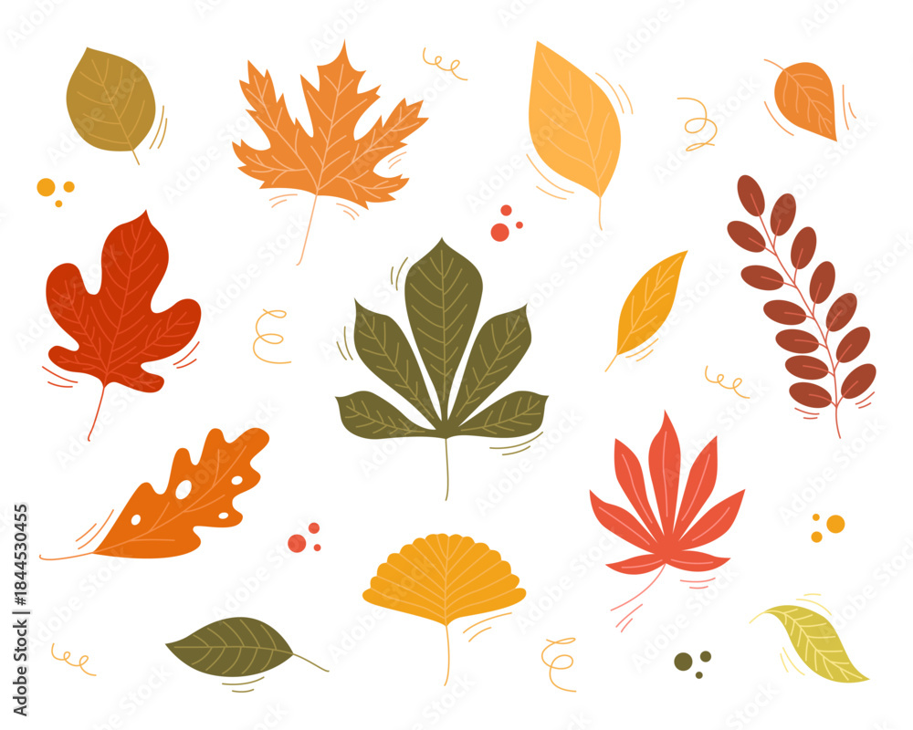 Obraz premium Autumn leaves hand drawn from different trees, oak, maple, chestnut. Collection of leaves in warm autumn colors for patterns and stickers. Vector illustration