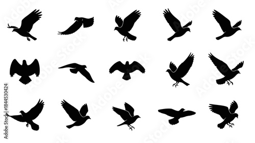 Collection of Silhouetted Birds in Flight Poses Isolated on White Background