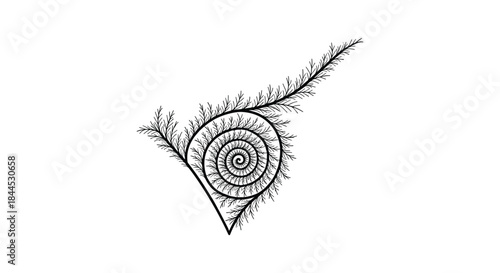 Intricate black spiral design with feathered elements