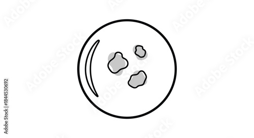 Pet paw print on white background