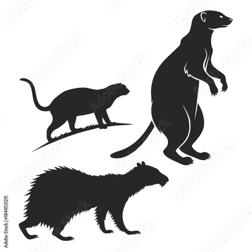 Black silhouettes of three different animals on white background