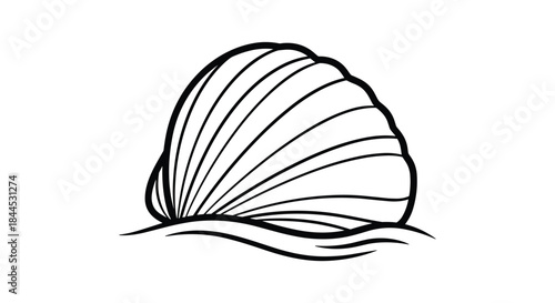 Simple line drawing of a seashell on white background