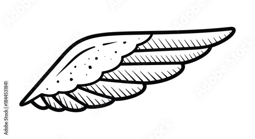 Simple black and white illustration of a feather