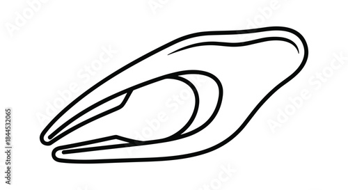 Simple line drawing of a clamshell