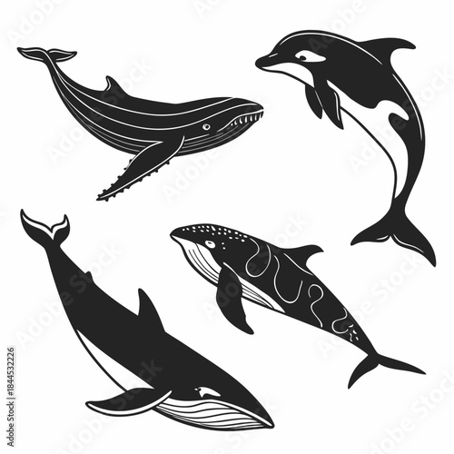 Black silhouette whales and dolphin set killer whale