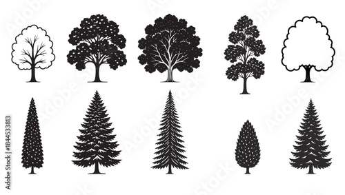 A collection of diverse tree silhouettes: deciduous and coniferous varieties.