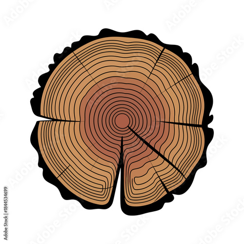 abstract tree ring cross section symbolizing growth time nature and sustainability concept