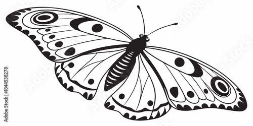 A black and white illustration of a butterfly with open wings