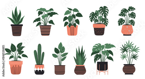 Collection of trendy indoor houseplants in stylish decorative pots, featuring various species like monstera, snake plant, and cactus.