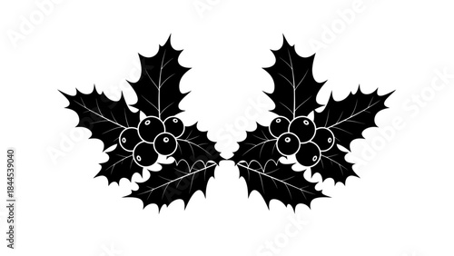 Festive Black Silhouette Holly Sprigs with Berries Isolated on White Background