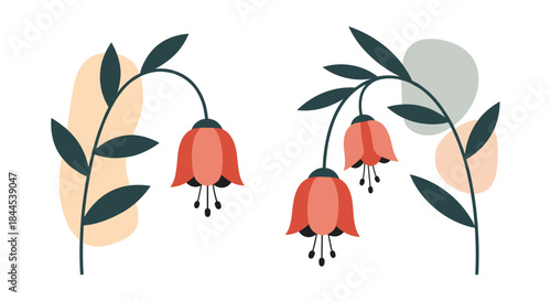 Modern abstract illustration of two delicate red bell-shaped flowers with green leaves against soft, organic background shapes.