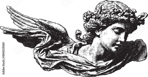 Vintage angel bust with wings in a classic style. This black and white vector illustration highlights elegant craftsmanship.